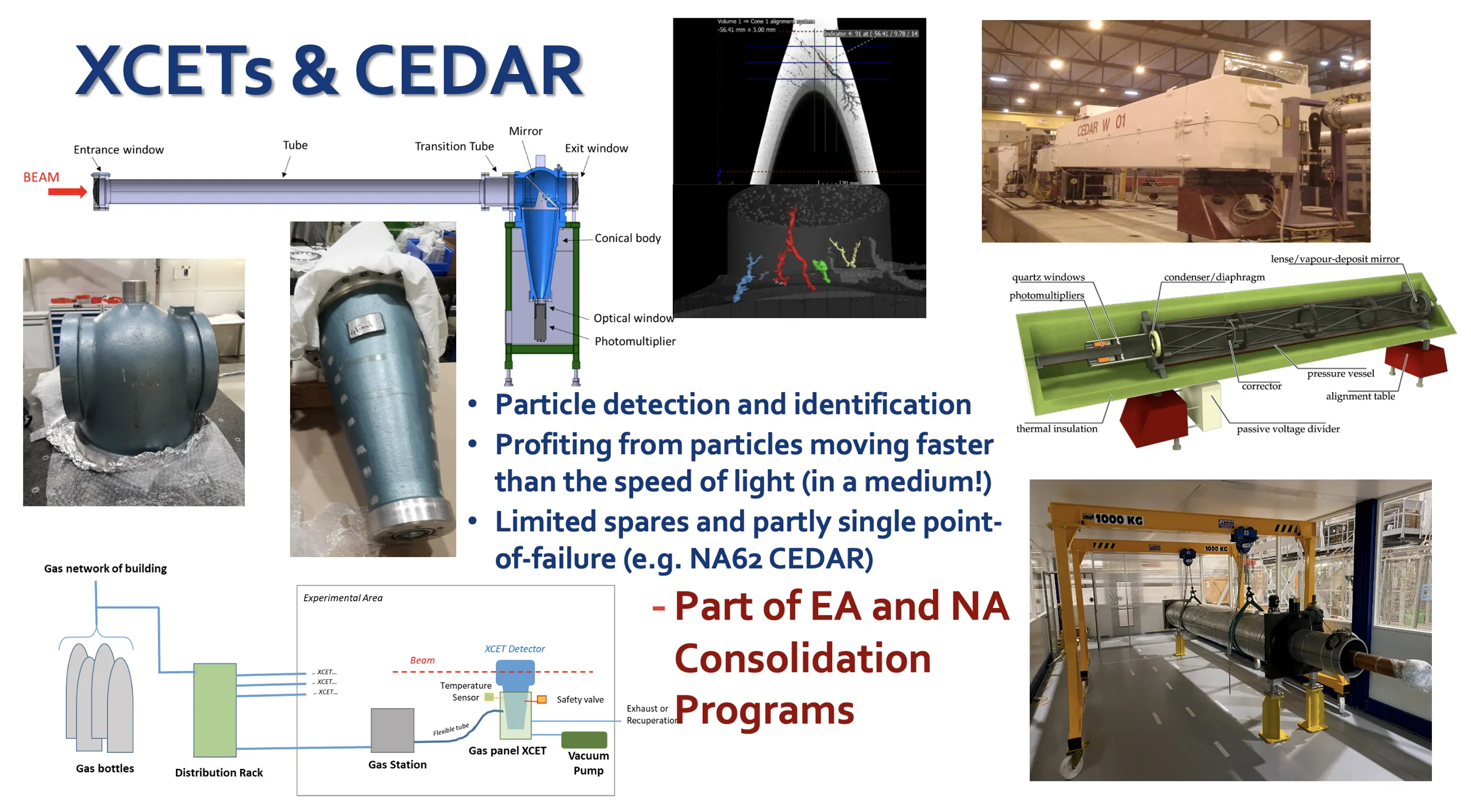 xcet_and_cedars